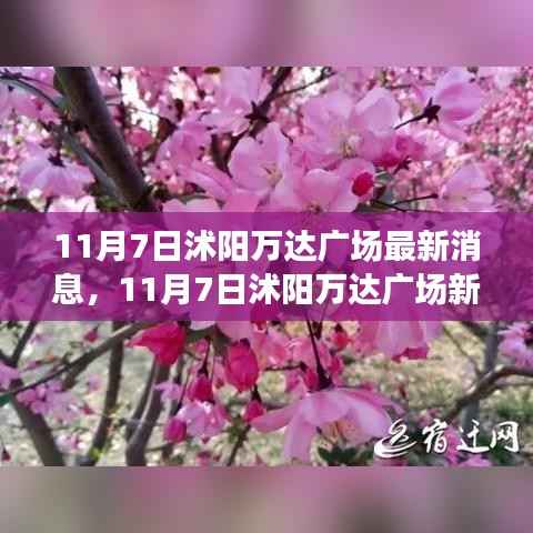 沭阳万达广场最新动态,11月7日新篇章开启,变化中的学习成就自信与辉煌