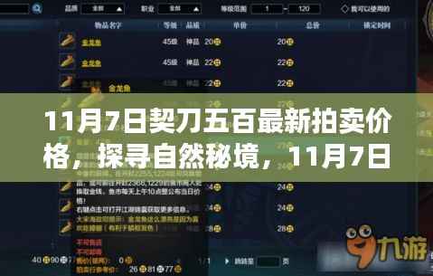 探寻自然秘境,契刀五百拍卖价格与奇妙之旅