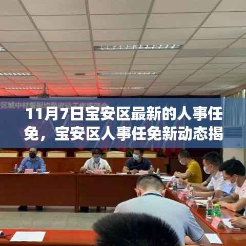 宝安区人事任免新动态揭秘,探索人事变革与小巷深处的独特小店