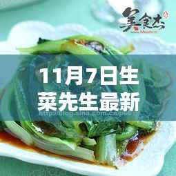 生菜先生11月7日的奇妙日常,温馨篇章新篇开启