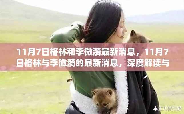 深度解读与观点碰撞,格林与李微漪的最新消息(11月7日更新)