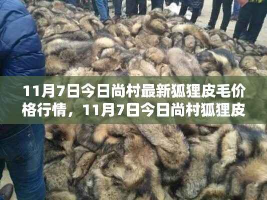 入门指南,尚村狐狸皮毛价格行情详解(最新行情更新)