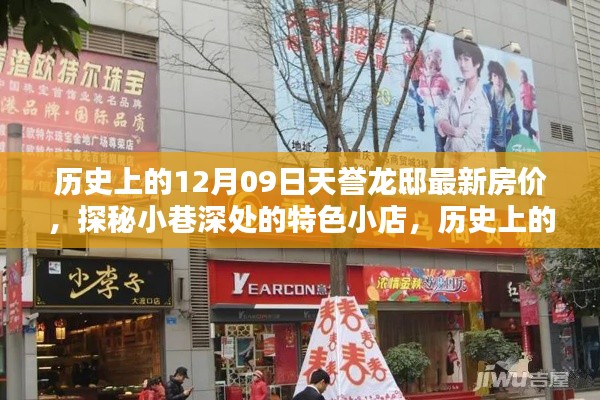 揭秘历史上的天誉龙邸房价与小巷深处的特色小店探秘