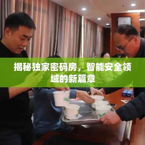 揭秘独家密码房,智能安全领域的新篇章