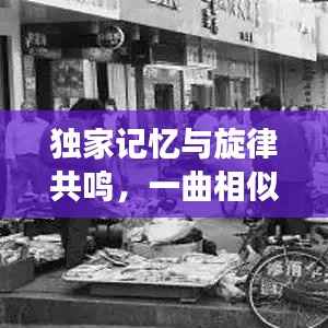 独家记忆与旋律共鸣,一曲相似的情感旅程