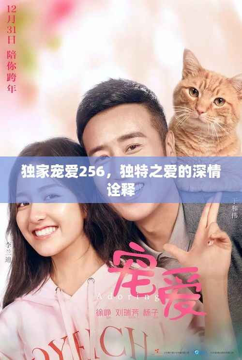 独家宠爱256,独特之爱的深情诠释