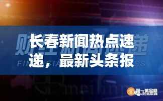 坌鸟先飞 第3页