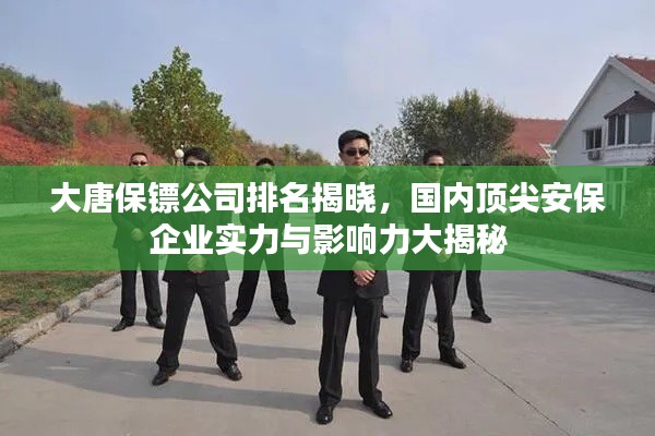 大唐保镖公司排名揭晓，国内顶尖安保企业实力与影响力大揭秘