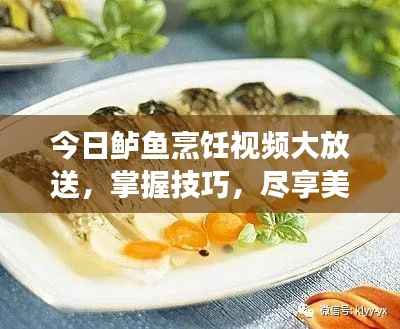 今日鲈鱼烹饪视频大放送,掌握技巧,尽享美味佳肴下载