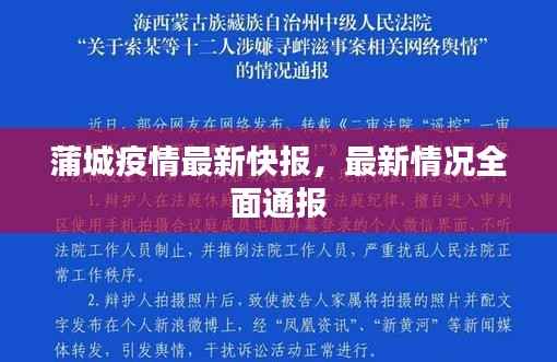 蒲城疫情最新快报,最新情况全面通报