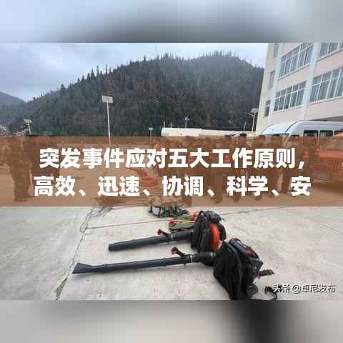 突发事件应对五大工作原则，高效、迅速、协调、科学、安全应对挑战