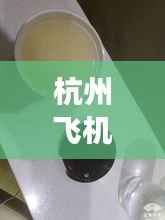 杭州飞机场最新动态报道