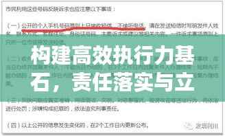 构建高效执行力基石,责任落实与立行整改并行发力