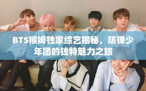 BTS猴姆独家综艺揭秘，防弹少年团的独特魅力之旅