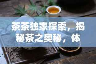 茶茶独家探索，揭秘茶之奥秘，体验独特茶香