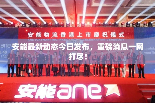 安能最新动态今日发布，重磅消息一网打尽！