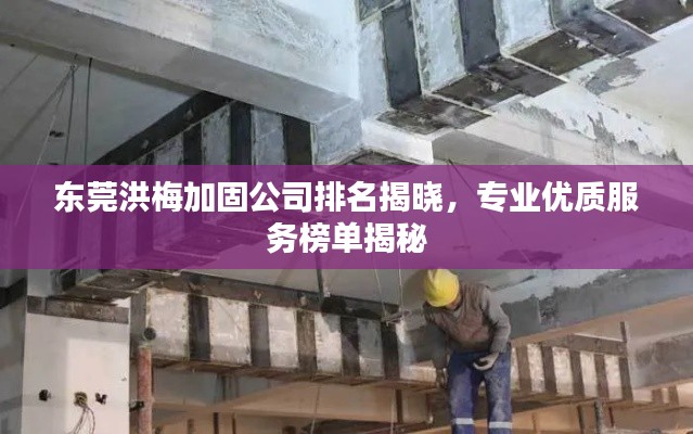 东莞洪梅加固公司排名揭晓,专业优质服务榜单揭秘