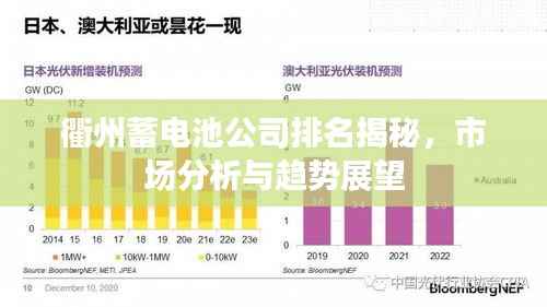 衢州蓄电池公司排名揭秘,市场分析与趋势展望